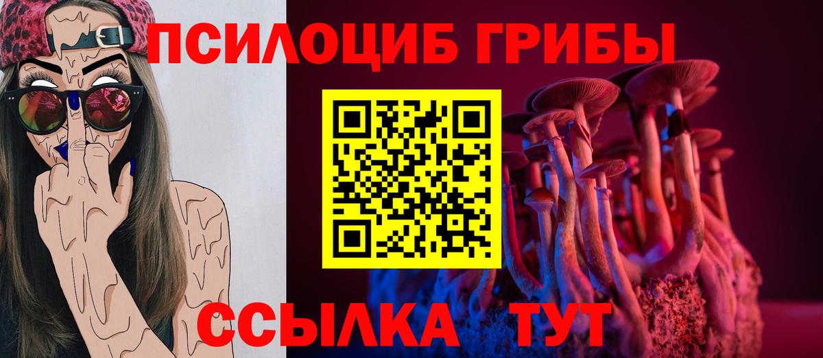 Скопин  Псилоцибиновые грибы Magic Shrooms  Вход с VPN  Псилоцибиновые грибы мухоморы 