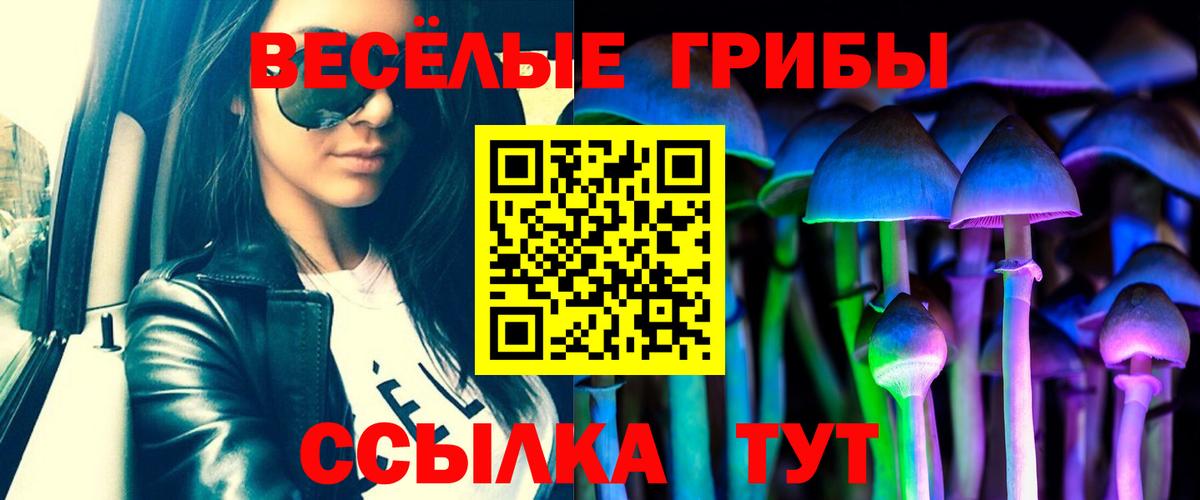 Галлюциногенные грибы прущие грибы Скопин
